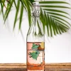 Muumi lasipullo Vilskettä vedessä 0,5L