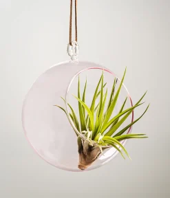 Sisustuspallo pinkki 12cm